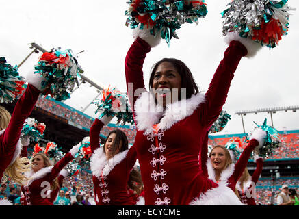 Miami, Florida, USA. 21st Dec, 2014. The Dolphins cheerleaders perform at Sun Life Stadium in Miami Gardens, Florida on December 21, 2014. Credit:  Allen Eyestone/The Palm Beach Post/ZUMA Press, Inc/Alamy Live News Stock Photo