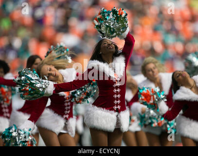 Miami, Florida, USA. 21st Dec, 2014. The Dolphins cheerleaders perform at Sun Life Stadium in Miami Gardens, Florida on December 21, 2014. Credit:  Allen Eyestone/The Palm Beach Post/ZUMA Press, Inc/Alamy Live News Stock Photo