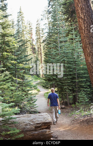 Man hiking on dirt trail in forest Stock Photo