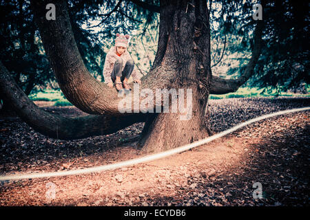 Mixed race girl climbing tree in park Stock Photo