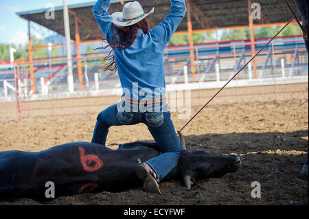 Caucasian cowgirl tying cattle in rodeo on ranch Stock Photo