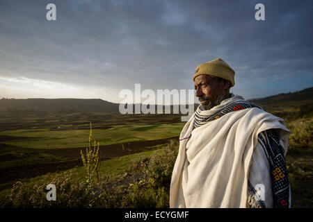 Ethiopian farmer watching his cattle, Debre Birhan, Ethiopia Stock Photo