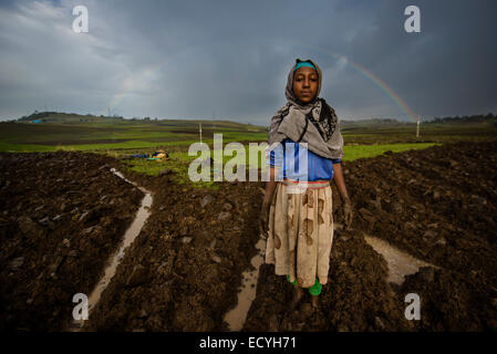 Ethiopian farmers, Debre Birhan, Ethiopia Stock Photo