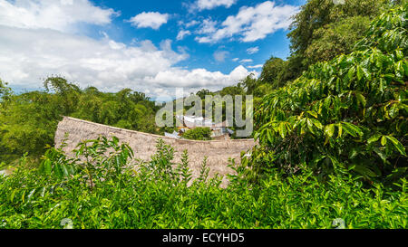 Row of scenic buildings in traditional village, with typical boat shaped roofs, set amid lush green rainforest. Mamasa region, W Stock Photo