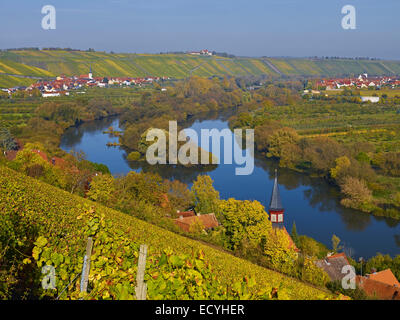 Vineyards near Escherndorf and Nordheim, Bavaria, Germany Stock Photo