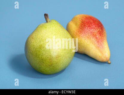 two pears on blue Stock Photo