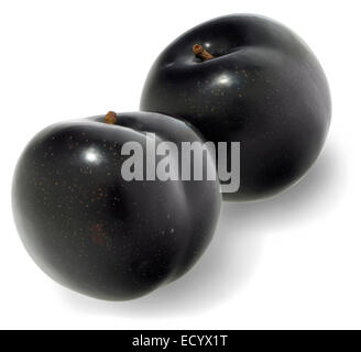 black plums photographed on a white background Stock Photo