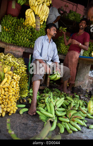 MYSORE, INDIA - NOVEMBER 4, 2012: Indian vendors tend to their banana stall in the Devaraja fruit market. Stock Photo