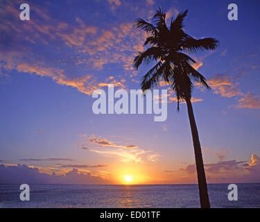 Tropical sunset, Darkwood Beach, Saint Mary’s Parish, Antigua, Antigua and Barbuda, Lesser Antilles, Caribbean