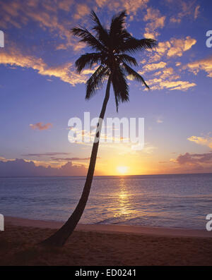 Tropical sunset, Darkwood Beach, Saint Mary’s Parish, Antigua, Antigua and Barbuda, Lesser Antilles, Caribbean