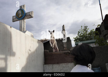 This cemetery in the heart of Pasay in Metro Manila, is the resting place for over 10,000 deceased people and some living ones. About ten cemetery caretakers and their families live there, in very poor conditions but still feeling safer among the graves than living on the outside as this poor neighbourhood is known for drugs and violence. They look after each other and fend of any squatters or intruders, especially males, to protect their children. 14th Dec, 2014. © Probal Rashid/ZUMA Wire/Alamy Live News Stock Photo