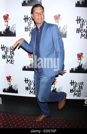 Holler If Ya Hear Me opening night at the Palace Theatre - Arrivals.  Featuring: Will Power Where: New York, New York, United States When: 20 Jun 2014 Stock Photo