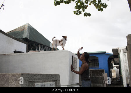 This cemetery in the heart of Pasay in Metro Manila, is the resting place for over 10,000 deceased people and some living ones. About ten cemetery caretakers and their families live there, in very poor conditions but still feeling safer among the graves than living on the outside as this poor neighbourhood is known for drugs and violence. They look after each other and fend of any squatters or intruders, especially males, to protect their children. 14th Dec, 2014. © Probal Rashid/ZUMA Wire/Alamy Live News Stock Photo