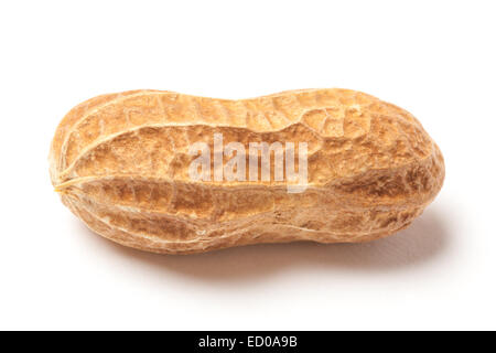 Single raw groundnut isolated on white background. Stock Photo