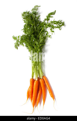 Bunch of fresh wet carrots isolated on white background Stock Photo