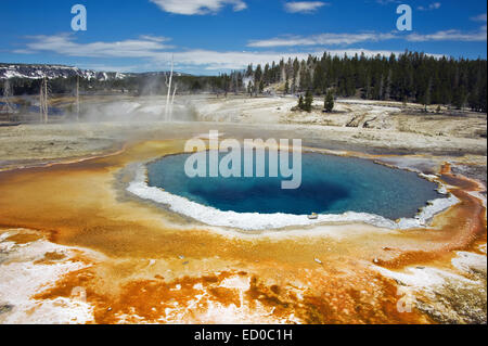 USA, Wyoming, Yellowstone National Park, Opal pool in Midway Geyser Basin Stock Photo