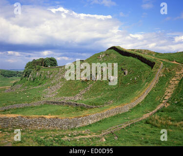 Hadrian's Wall, Northumberland National Park, Northumberland, England, United Kingdom Stock Photo