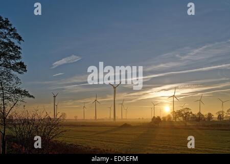 Germany, Ostfriesland, Spetzerfehn, Morning sun over wind turbines Stock Photo