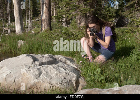 Woman photographing rocks in forest Stock Photo
