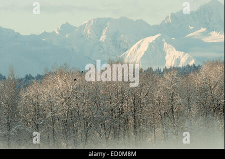 The Chilkat Valley under a covering of snow, with mountains behind. Southeast Alaska. Stock Photo