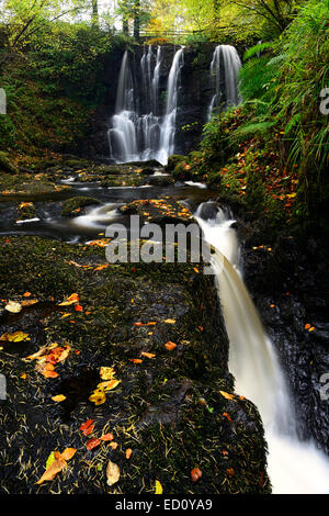 ess-na-crub waterfall falls autumn autumnal inver river glenariff forest park county antrim northern ireland RM glens of antrim Stock Photo