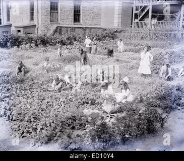 Antique circa 1910 photograph, school children working in their vegetable and flower gardens. Stock Photo