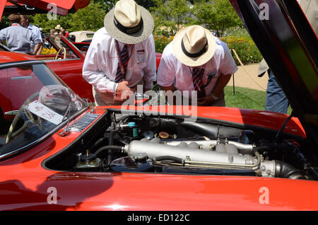 concours judging a Mercedes 300SL Gullwing at Classic Days 2014, Schloss Dyck Germany Stock Photo