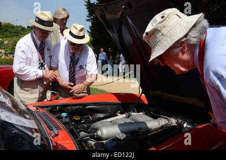 concours judging a Mercedes 300SL Gullwing at Classic Days 2014, Schloss Dyck Germany Stock Photo
