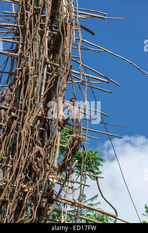 Second boy land diver touch of nerves, Pentecost Island, Vanuatu, South Pacific Stock Photo