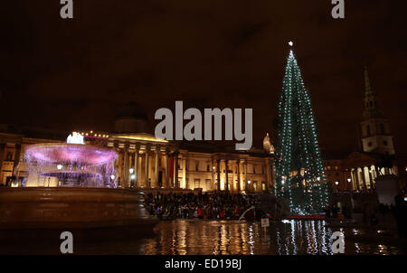 London, UK. 23rd Dec, 2014. Photo taken on Dec. 23, 2014 shows the Christmas tree at the Trafalgar Square in London, Britain. Credit:  Han Yan/Xinhua/Alamy Live News Stock Photo