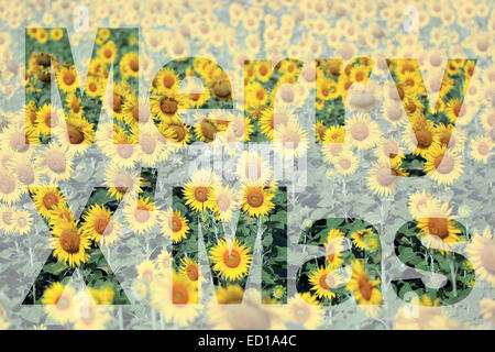 word merry x'mas made from sunflower picture Stock Photo