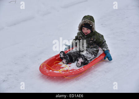 A little boy (2 1/2 yrs) delighted to be sledging Stock Photo