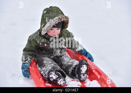 A little boy (2 1/2 yrs) delighted to be sledging Stock Photo