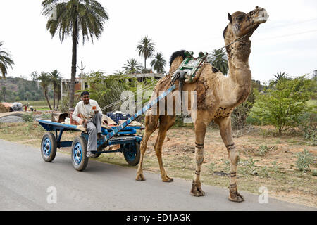 Traveling salesman with camel cart near Poshina, Gujarat, India Stock Photo