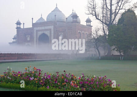 Ground fog blankets the jawab (answer) on the eastern side of the Taj Mahal, Agra, India Stock Photo