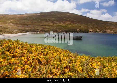 Shipwreck New island Falkland Islands Stock Photo - Alamy