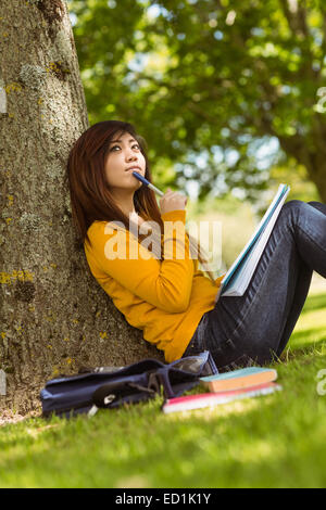 Female student with books sitting against tree in park Stock Photo