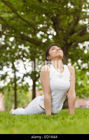 Flexible slim woman does stretching exercises outdoor stays in good  physical shape dressed in cropped top and leggings stands on one leg leans  with arms raised warms up before cardio training 7421579