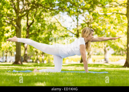 Fit blonde doing yoga in the park Stock Photo