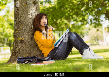 Female student with books sitting against tree in park Stock Photo