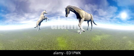 Beautiful white horses, one rearing, in green landscape with shining sun, 360 degrees effect Stock Photo