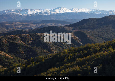 Forest and mountains. Tazekka National Park. Easter Middle Atlas. Morocco. North Africa. Africa Stock Photo