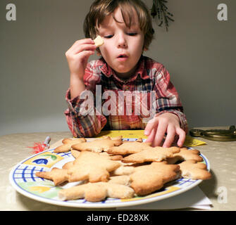 A  five year old boy kid child sitting at a kitchen table eating home baked Christmas cookies in a pile on a plate before they are decorated in Wales UK  KATHY DEWITT Stock Photo
