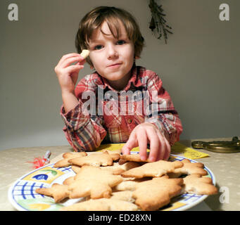 A cheeky smiling 5 year old boy kid child eating home baked Xmas cookies in a pile on a plate before they are decorated in Wales UK  KATHY DEWITT Stock Photo