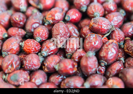 Dried rose hips. Healthy organic eating. Stock Photo