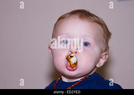 A young Caucasian boy isolated against a neutral background eating a piece of toast. Stock Photo