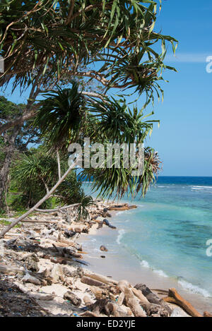 Melanesia, Papua New Guinea, Bismarck Sea, Tuam Island. Scenic view of island coastline. Stock Photo