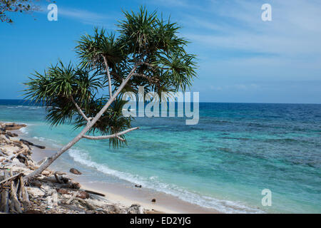 Melanesia, Papua New Guinea, Bismarck Sea, Tuam Island. Scenic view of island coastline. Stock Photo