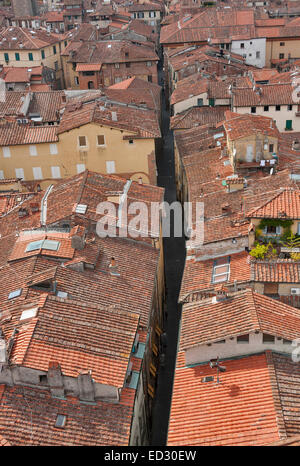 Lucca cityscape with narrow street from the Guinigi tower, Tuscany, Italy Stock Photo
