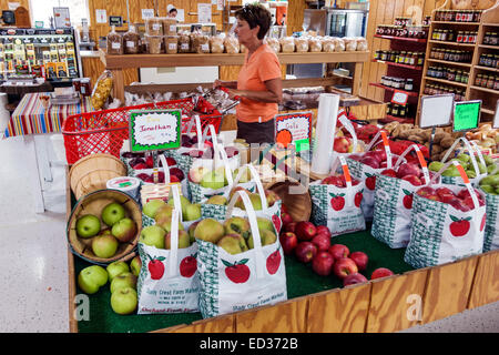 Illinois,Midwest,Arthur,Shady Crest Orchard & and Farm Market,Amish,product products display sale,locally grown produce,apples,visitors travel traveli Stock Photo
